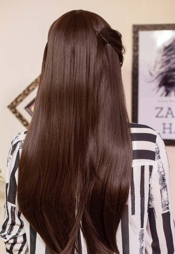 CHOCOLATE BROWN STRAIGHT HAIR  WIG
